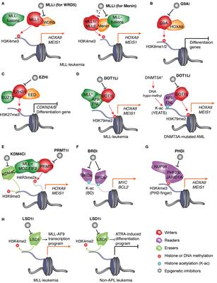 Pharmacologic Targeting of Chromatin Modulators As Therapeutics of Acute Myeloid Leukemia